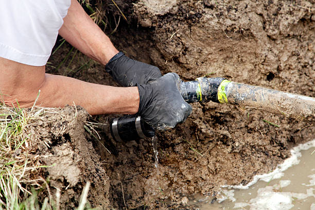 Best Septic System Installation and Maintenance  in Williamsburg, VA